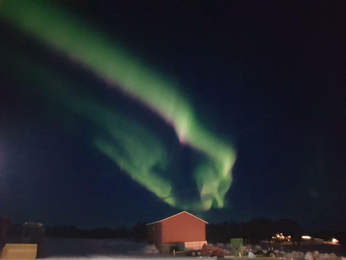 1 Room In The Yellow House, Close To Airport & Lofoten Evenskjer Exterior photo