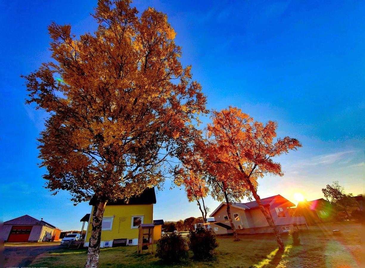 1 Room In The Yellow House, Close To Airport & Lofoten Evenskjer Exterior photo